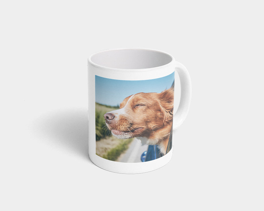 Et fotokrus med et billede af en hund