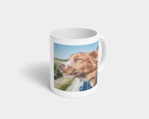 Et fotokrus med et billede af en hund