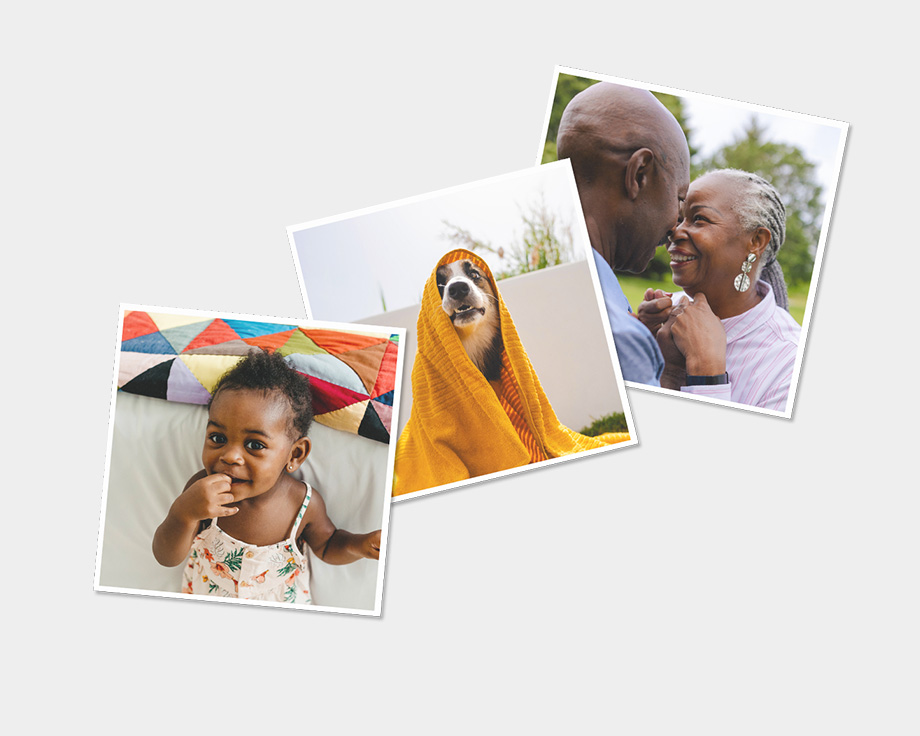 Tre fotomagneter med billeder af hund og familie