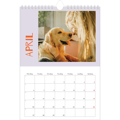 Fotokalender A4 (20 x 30 cm) — Farverig kalender [April]