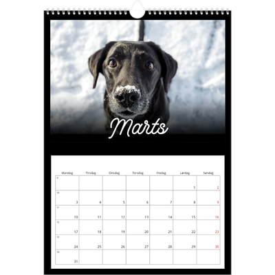 Årskalender A3 — Sort minimal [Marts]