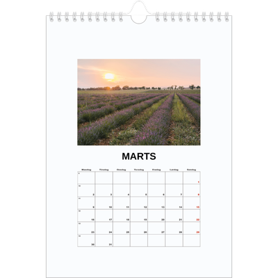 Fotokalender A4 (20 x 30 cm) — Simpelt billede [Marts]