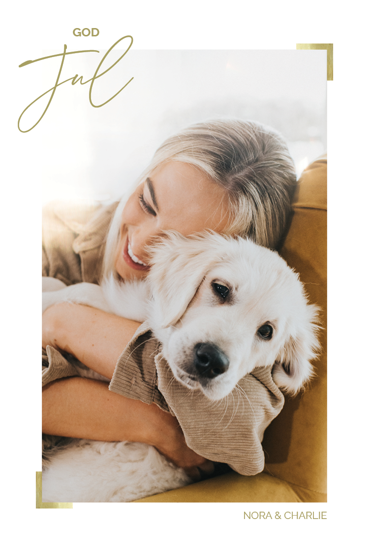 Kort — Gulddetaljer