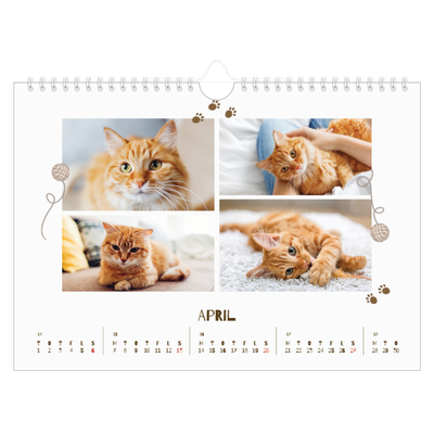 Fotokalender A4 — legesyg killing [April]