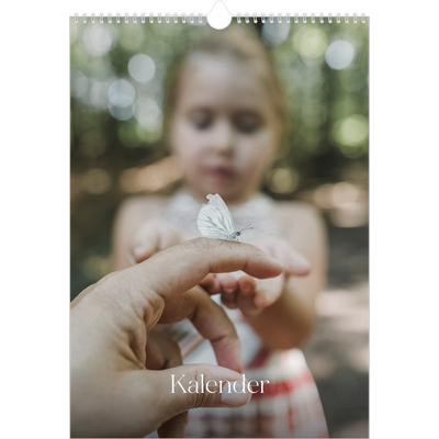 Årskalender A3 — Tolv store måneder [kalender forside]