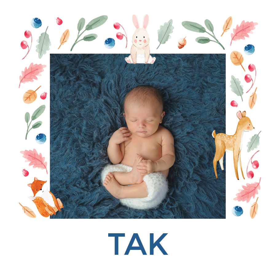 Takkekort — Farverige skovdyr