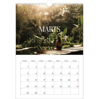 Årskalender A3 — Endeløs flugt [Marts]