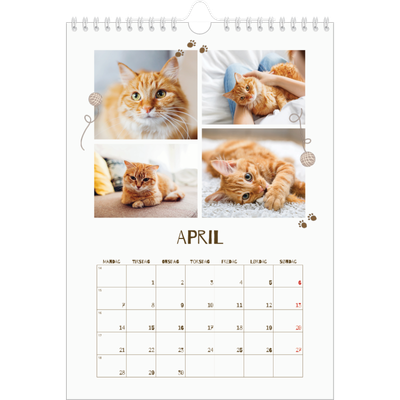 Fotokalender A4 (20 x 30 cm) — legesyg killing [April]