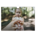 Fotokalender A4 — Tolv store måneder [kalender forside]