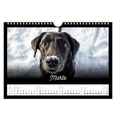 Fotokalender A4 — Sort minimal [Marts]