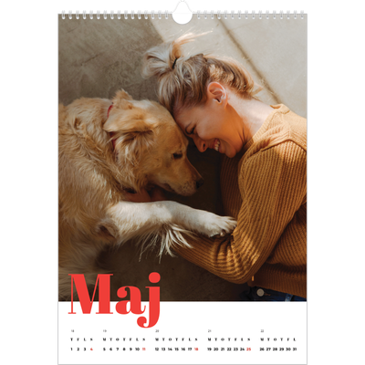 Årskalender A3 — Et fantastisk år [kalender forside]