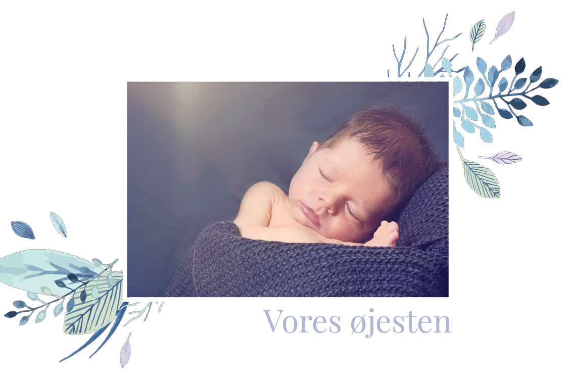 Invitationer — Stjernenavn