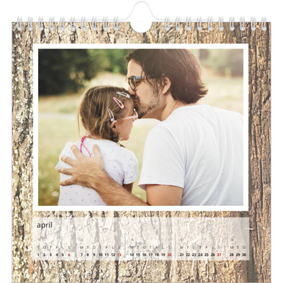 Årskalender kvadratisk — Træbark [April]