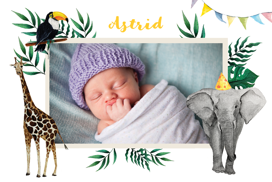 Invitationer — Akvarel dyr