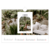 Fotokalender A4 — Den åbne bue [Februar]