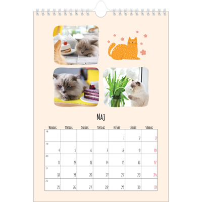 Fotokalender A4 (20 x 30 cm) — Kattepoter og kruseduller [kalender forside]