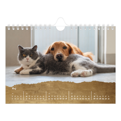 A5 Foto Kalender — Classic Gold [kalender forside]
