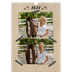 Årskalender A3 — Naturmatriale og tape [kalender forside]