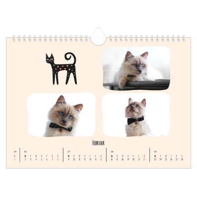 Fotokalender A4 — Kattepoter og kruseduller [Februar]