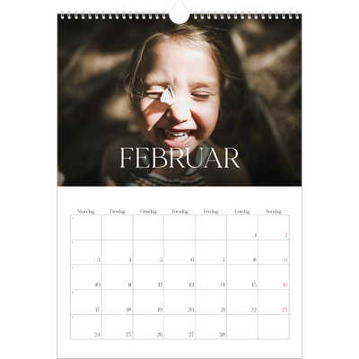 Årskalender A3 — Tolv store måneder [Februar]