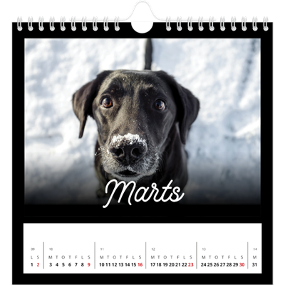 Årskalender kvadratisk — Sort minimal [Marts]