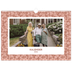Fotokalender A4 — Fuld blomstring [kalender forside]