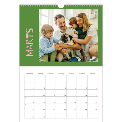 Årskalender A3 — Farverig kalender [Marts]