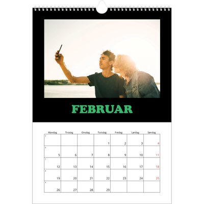 Årskalender A3 — Sjov type [Februar]