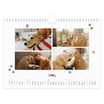 Fotokalender A4 — Legesyg hvalp [April]