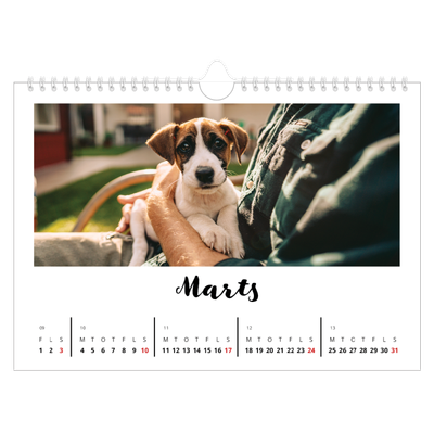 Fotokalender A4 — Håndskrevet [Marts]