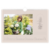 Fotokalender A4 — Enkel botanisk [Marts]