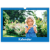 A3 Foto Kalender — Stilrene farver [kalender forside]