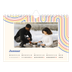 A5 Foto Kalender — Retro striber [Januar]