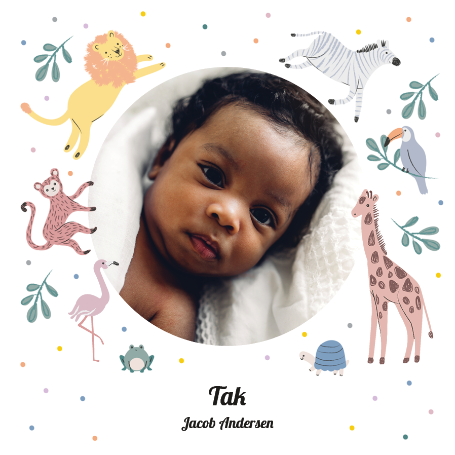 Takkekort — Legende safari