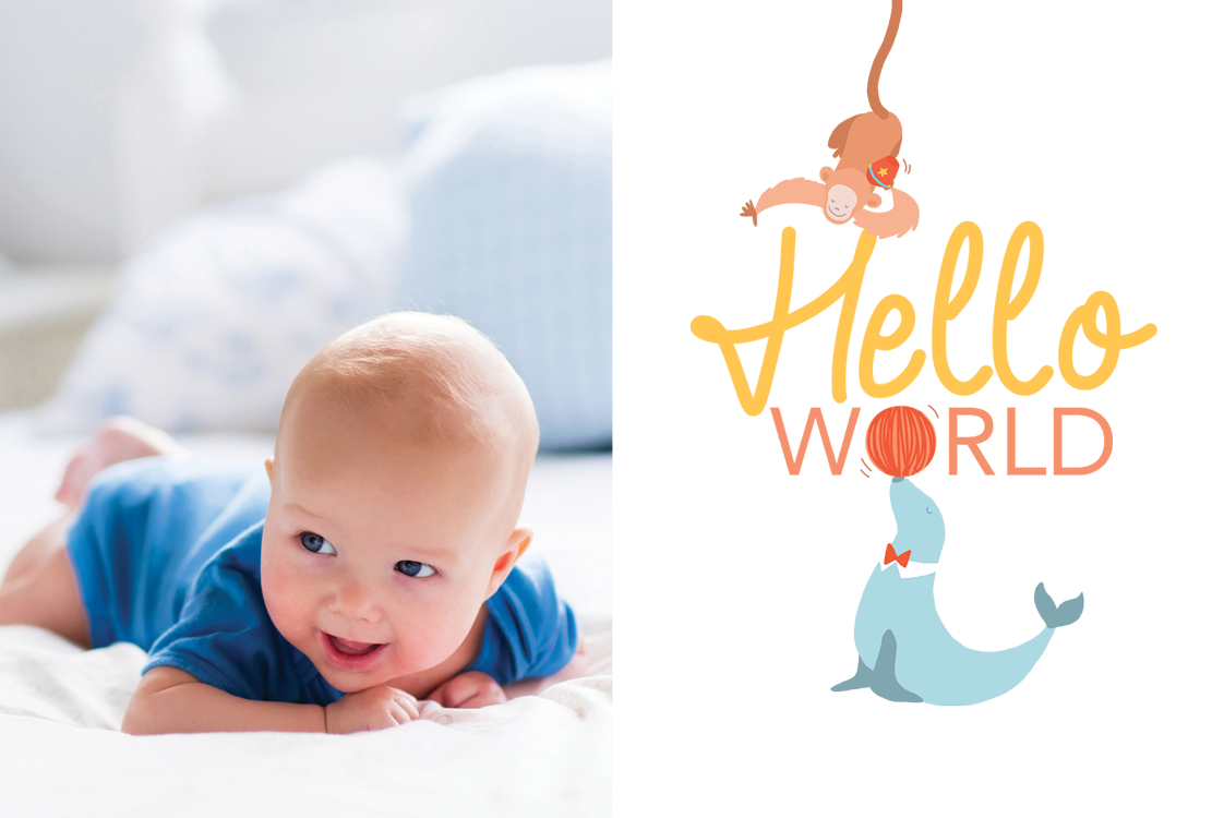 Invitationer — Legende dyr