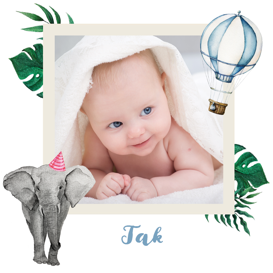 Takkekort — Akvarel dyr