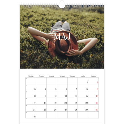 Årskalender A3 — Endeløs flugt [Maj]