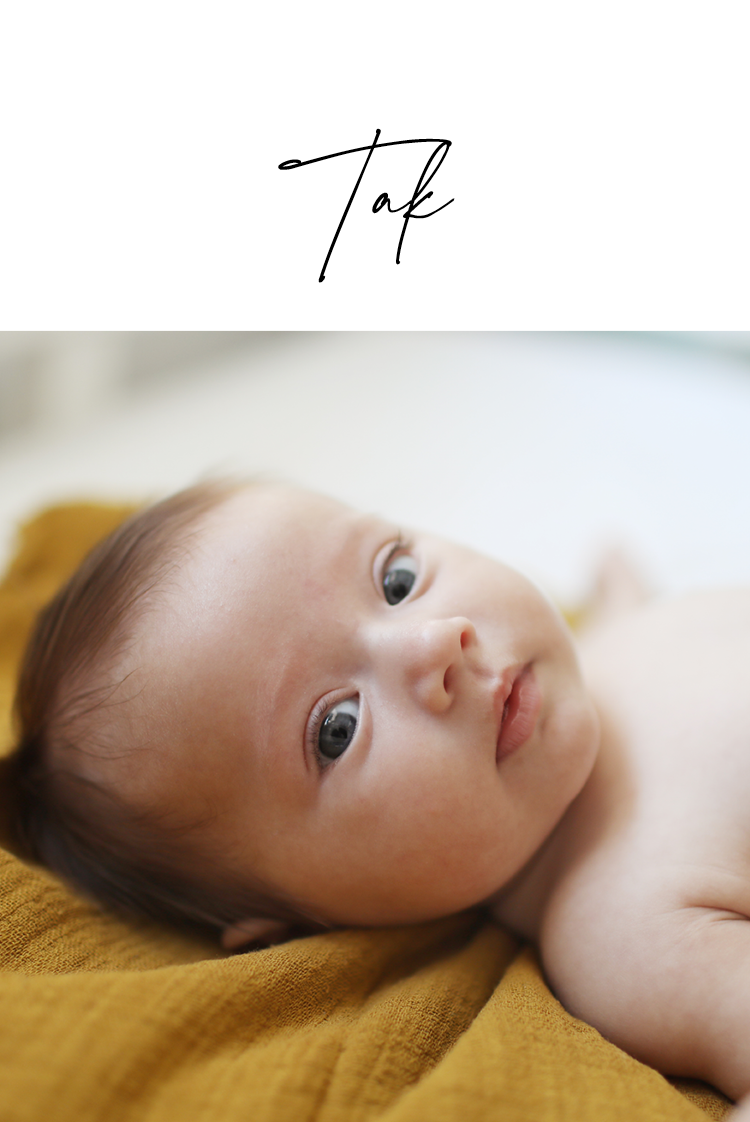 Takkekort — Lille hilsen