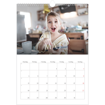 Årskalender A3 — Tolv store måneder [kalender forside]