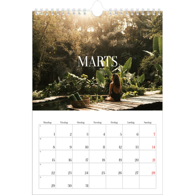 Fotokalender A4 (20 x 30 cm) — Endeløs flugt [Marts]