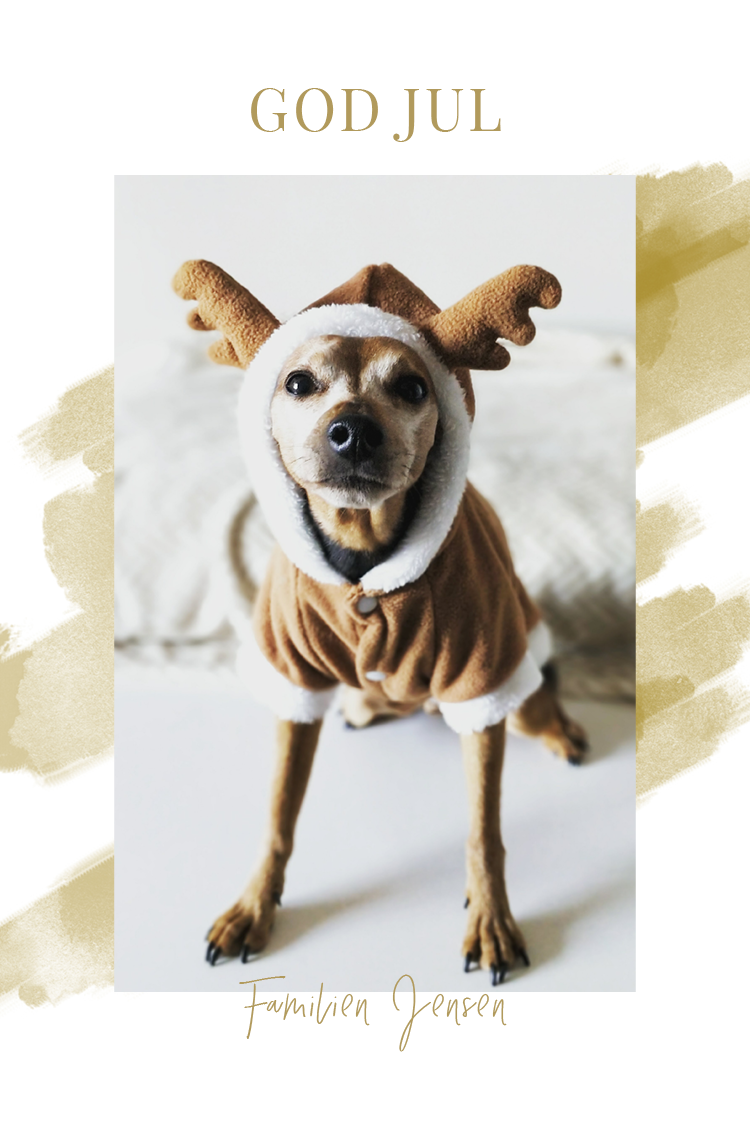 Kort — Guld vandfarver