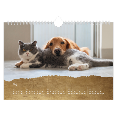 Fotokalender A4 — Classic Gold [kalender forside]