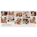 Bordkalendere — Dynamiske billeder [kalender forside]