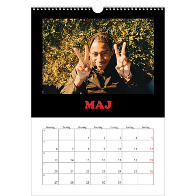 Årskalender A3 — Sjov type [kalender forside]