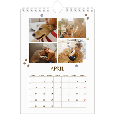 A5 Foto Kalender — Legesyg hvalp [April]