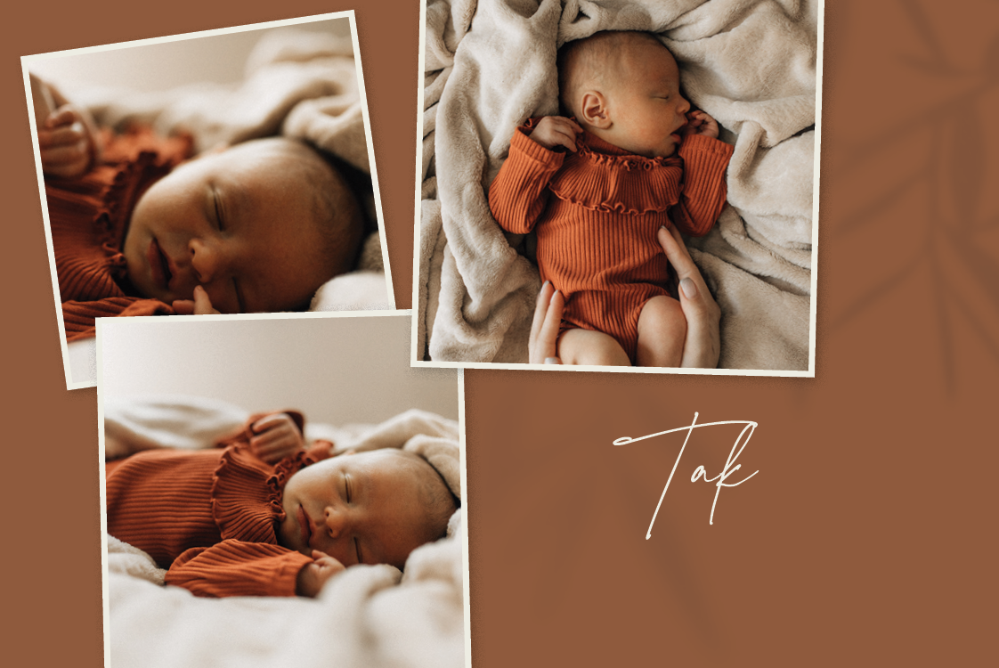 Takkekort — Nede på jorden