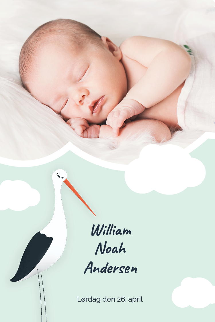 Invitationer — Stork og skyer