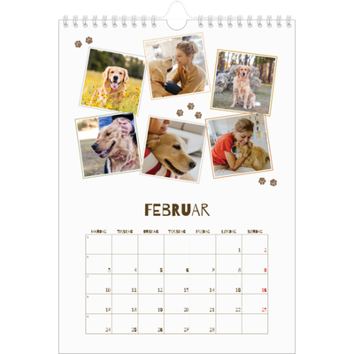 Fotokalender A4 (20 x 30 cm) — Legesyg hvalp [Februar]