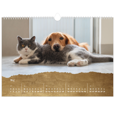 A3 Foto Kalender — Classic Gold [kalender forside]