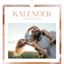 Årskalender kvadratisk — Pensleffekt [kalender forside]